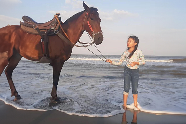 Horseback riding tours in Cartagena, Colombia