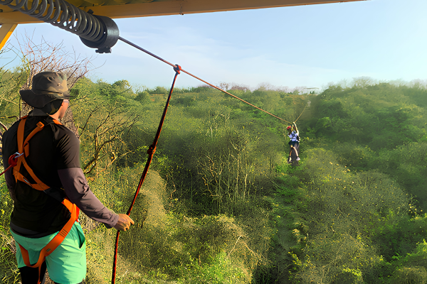 8d820fe7-db62-44d2-8d45-be9b4ac4c527